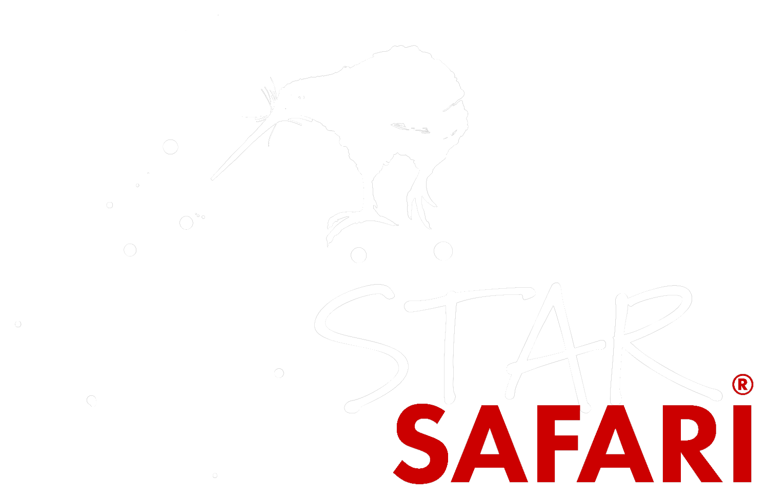 Star Safari